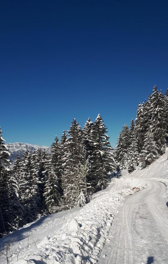 VVF Villages   Le Massif de Belledonne   Prapoutel Les 7-Laux Extérieur photo